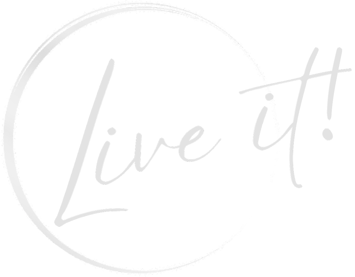 Live It Party Bus Miami